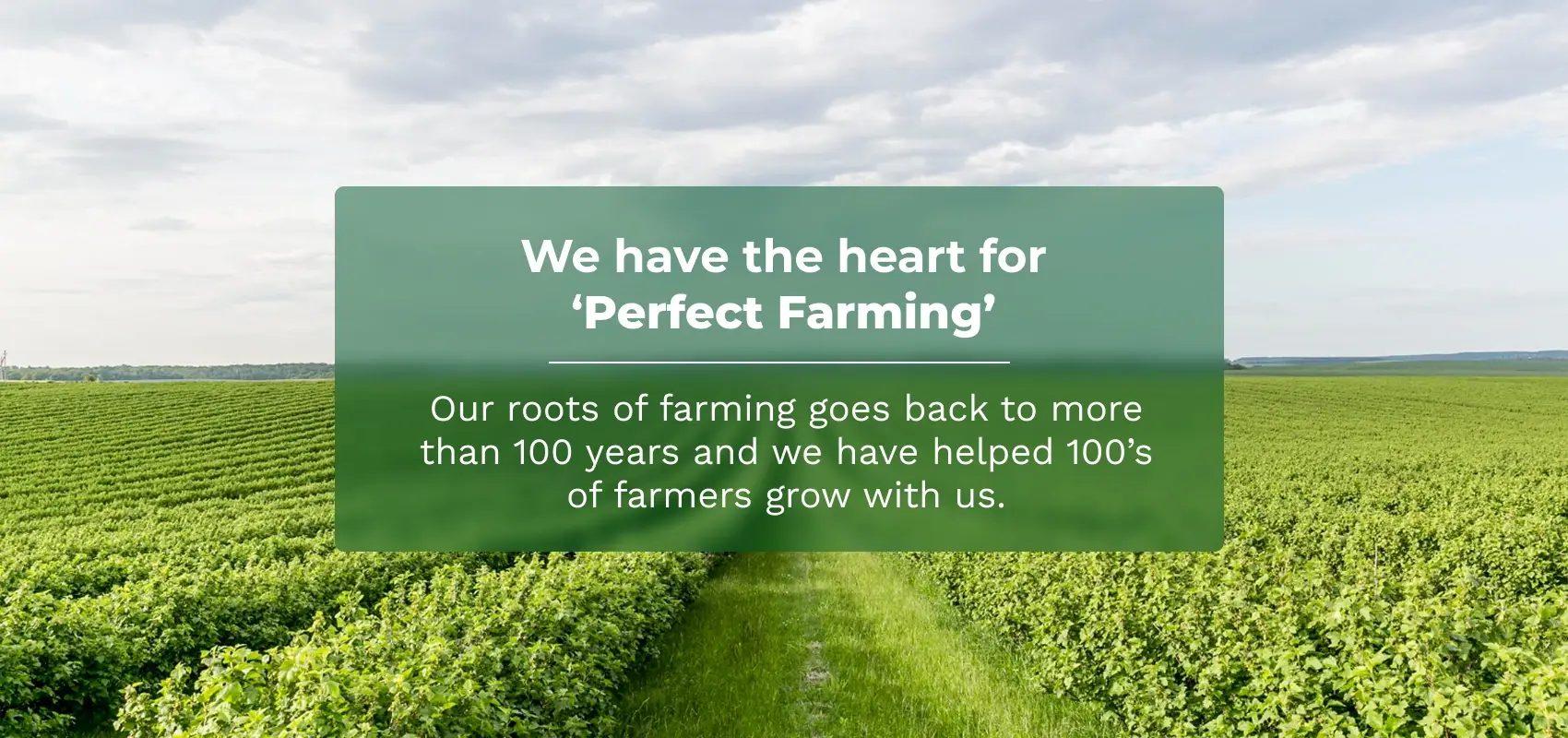 agri product supplier