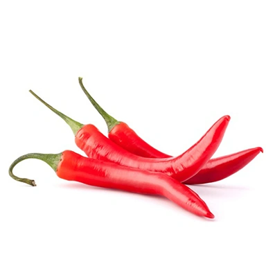 Chilli-Suppliers