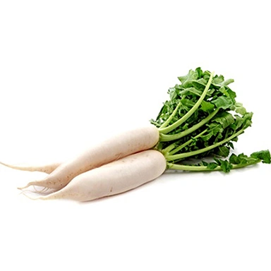 Radish-Suppliers