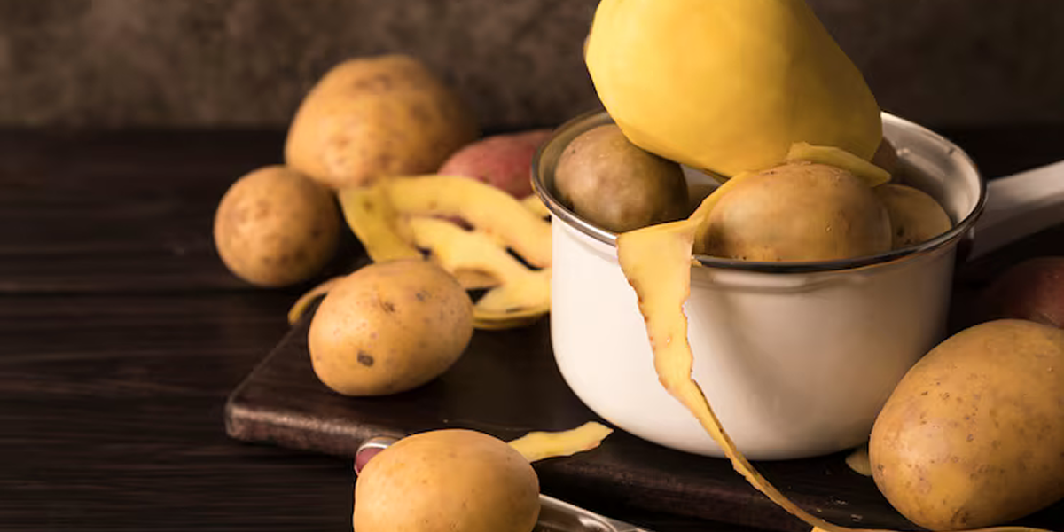 360_F_275778955_xxJe5fQvDy5oXbjupdJ162zLwU4sf3kT 1 (1)