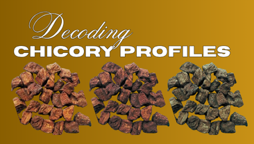 Light, Medium, or Dark Roast? Decoding Chicory Profiles for Food & Beverage Manufacturers