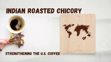 How Indian Roasted Chicory Is Strengthening the U.S. Coffee Supply Chain