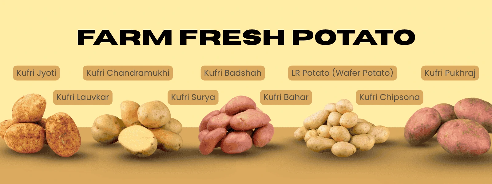 Fresh Potato Supplier