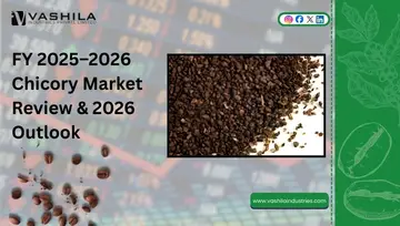 FY2025-26 chicory Market