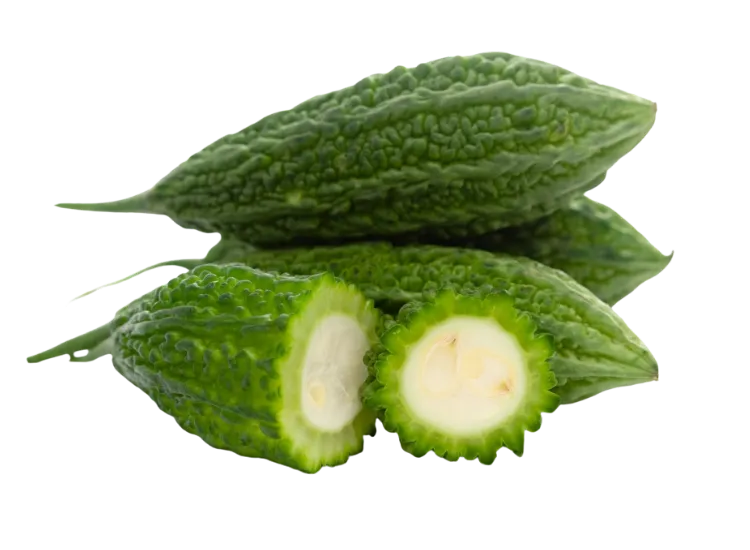 Bitter Gourd