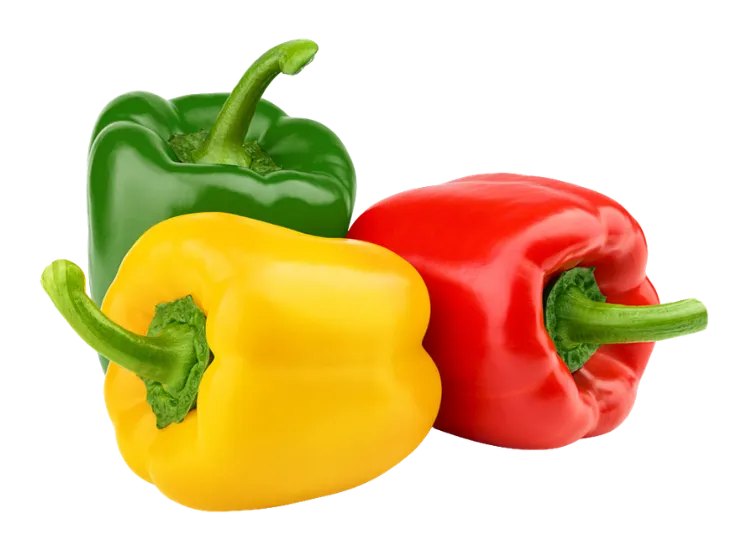 Capsicum