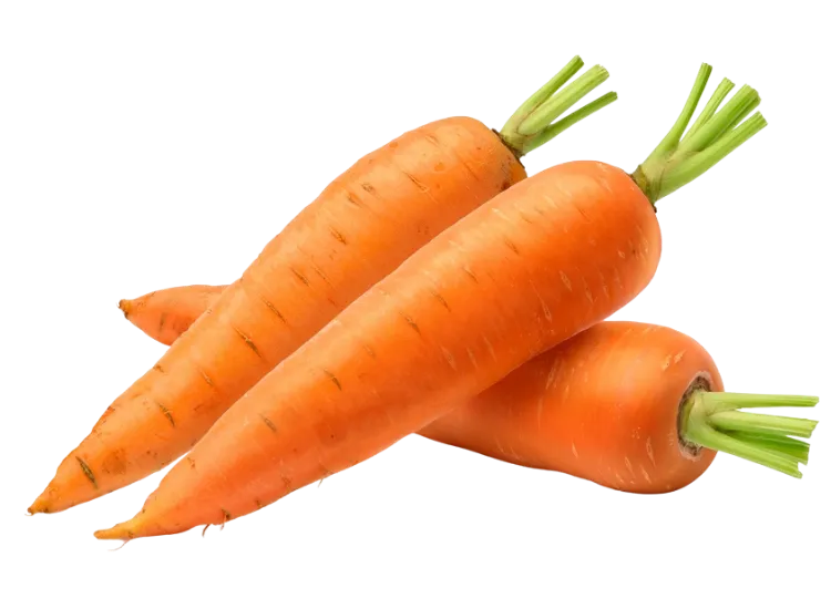 Carrots