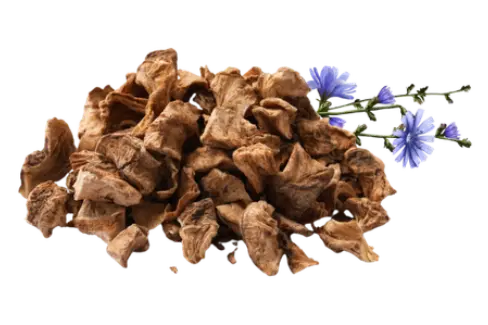 Dried Chicory Roots
