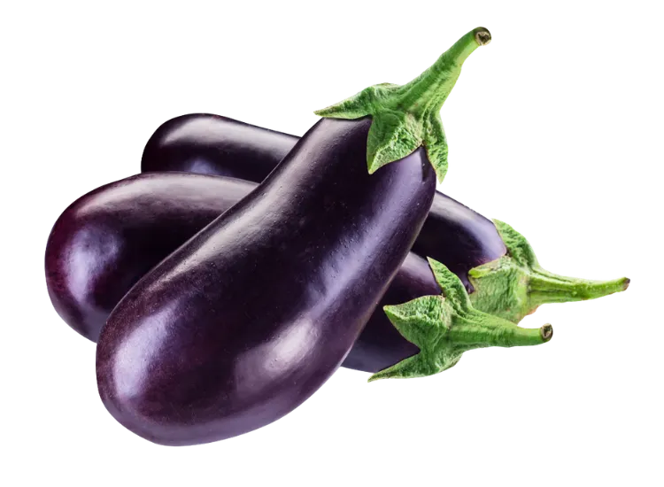 Fresh Eggplant