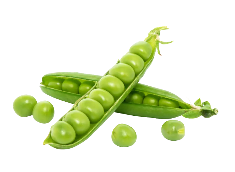 Fresh Green Peas