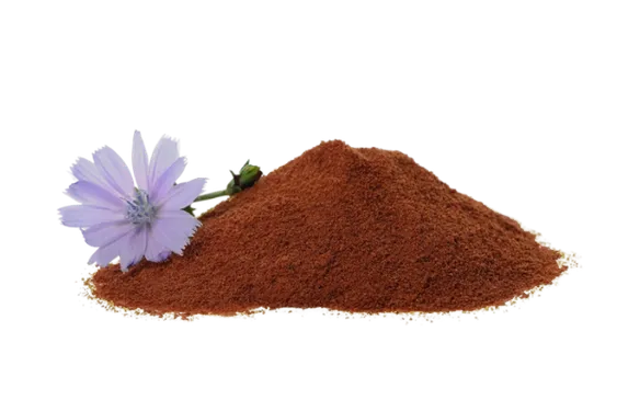 Instant Chicory Powder