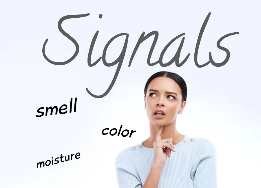 signal of bad vegetables