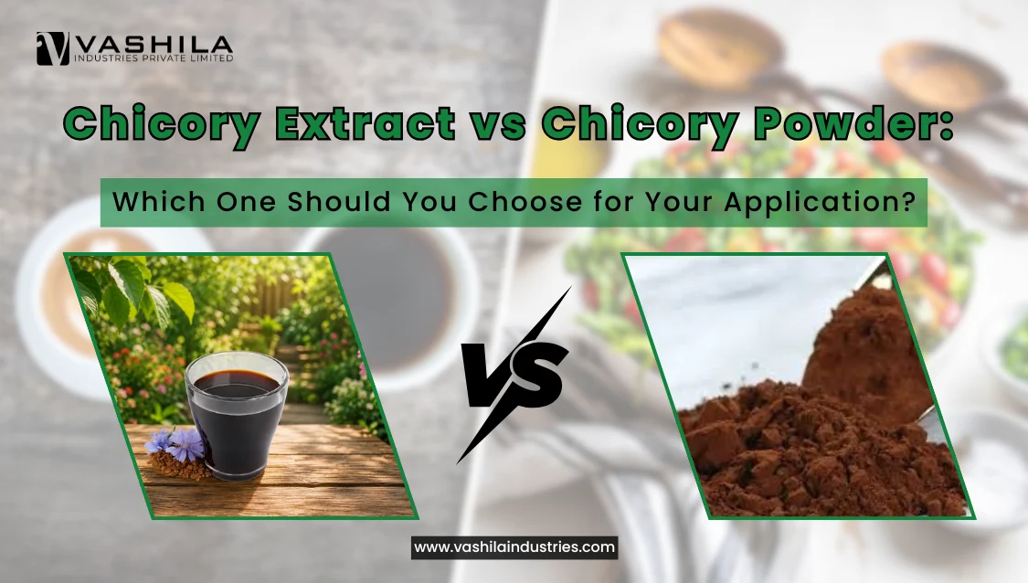 Chicory Extract Vs Chicory Powder