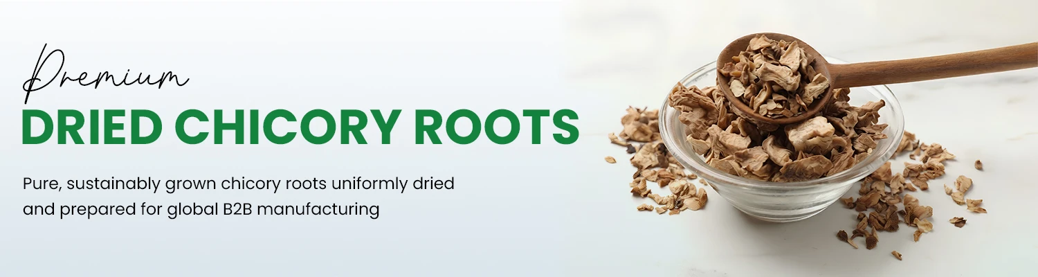 Dried Chicory Roots