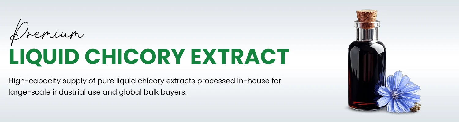 Liquid Chicory Extract