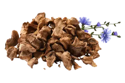 Dried Chicory Roots