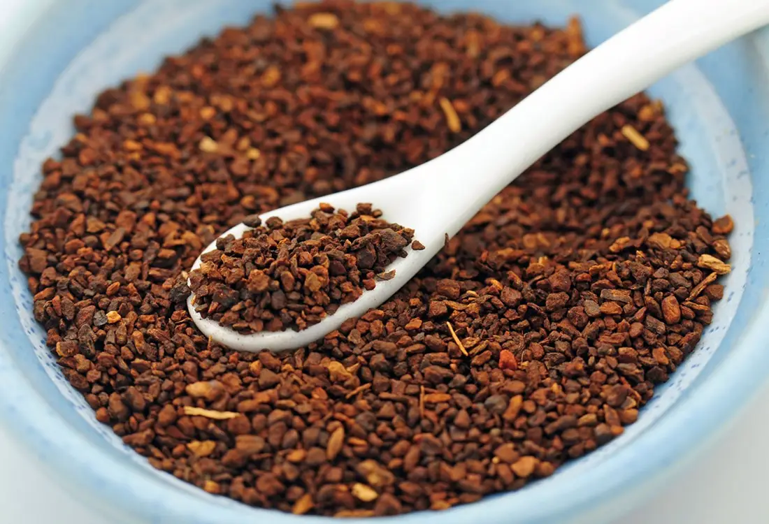 Chicory Grain Manufacturer