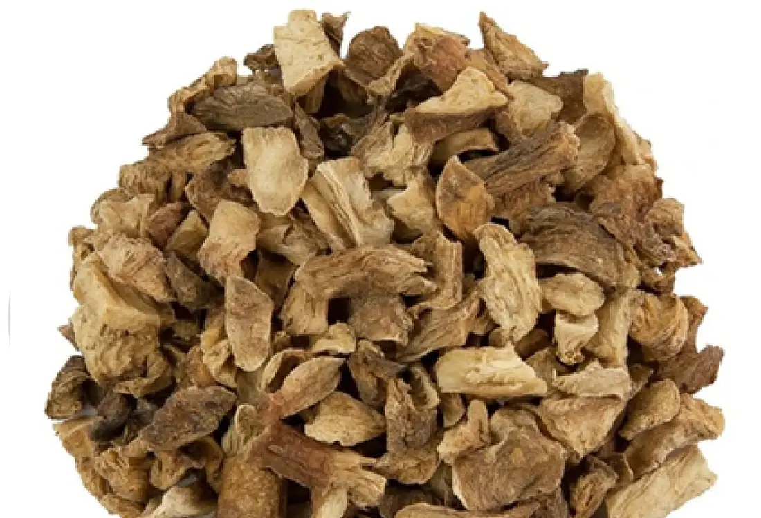 Chicory Root Manufacturer