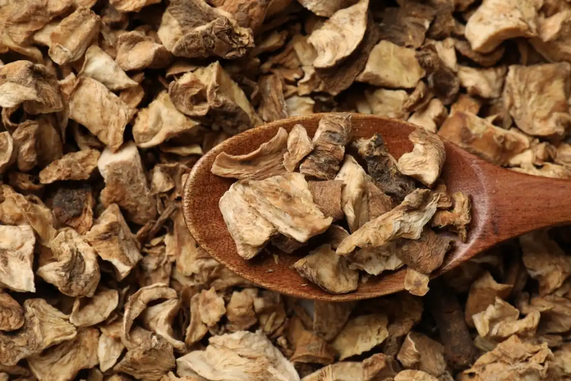 Dried Chicory Roots Manufacturer