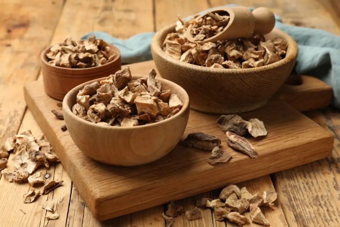 Dried Chicory Roots Supplier
