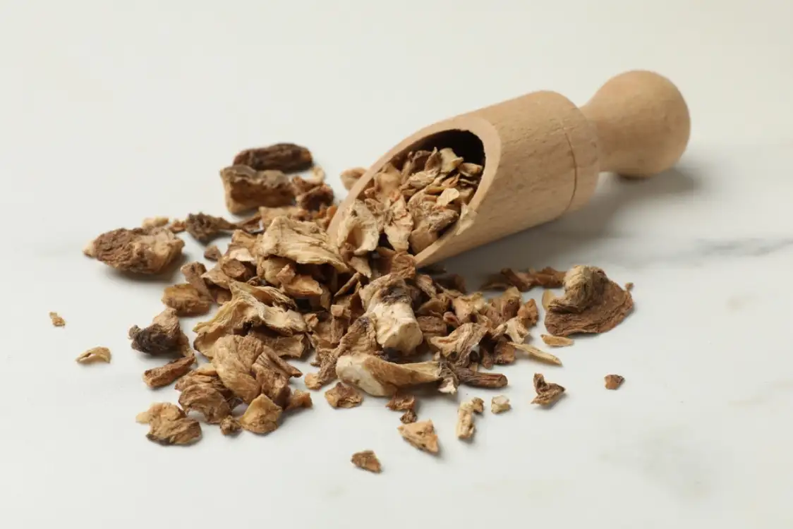 Dried Chicory Roots