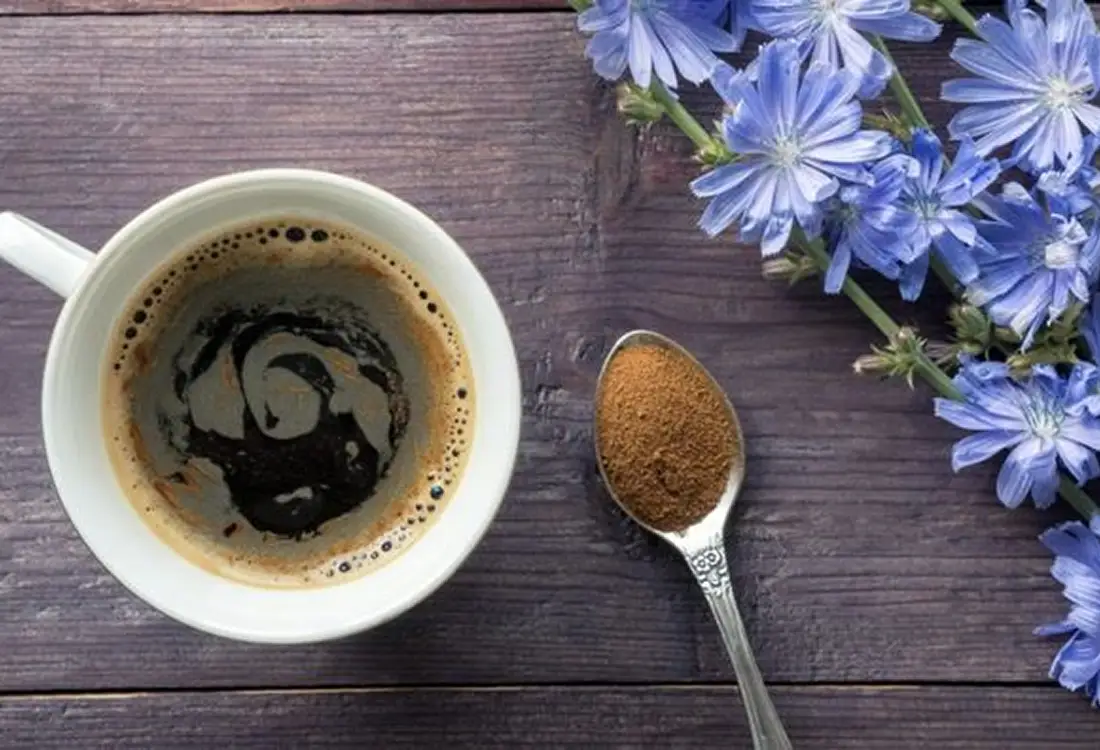 Liquid Chicory