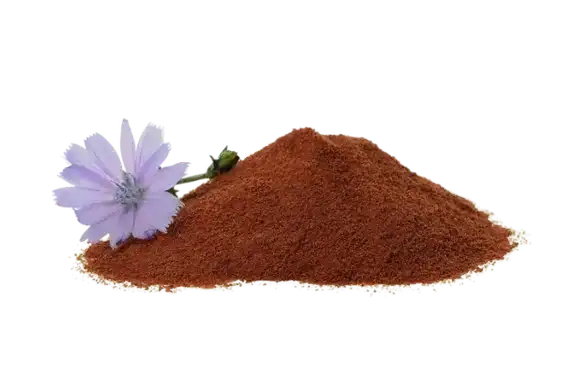 Roasted Chicory Powder (1)