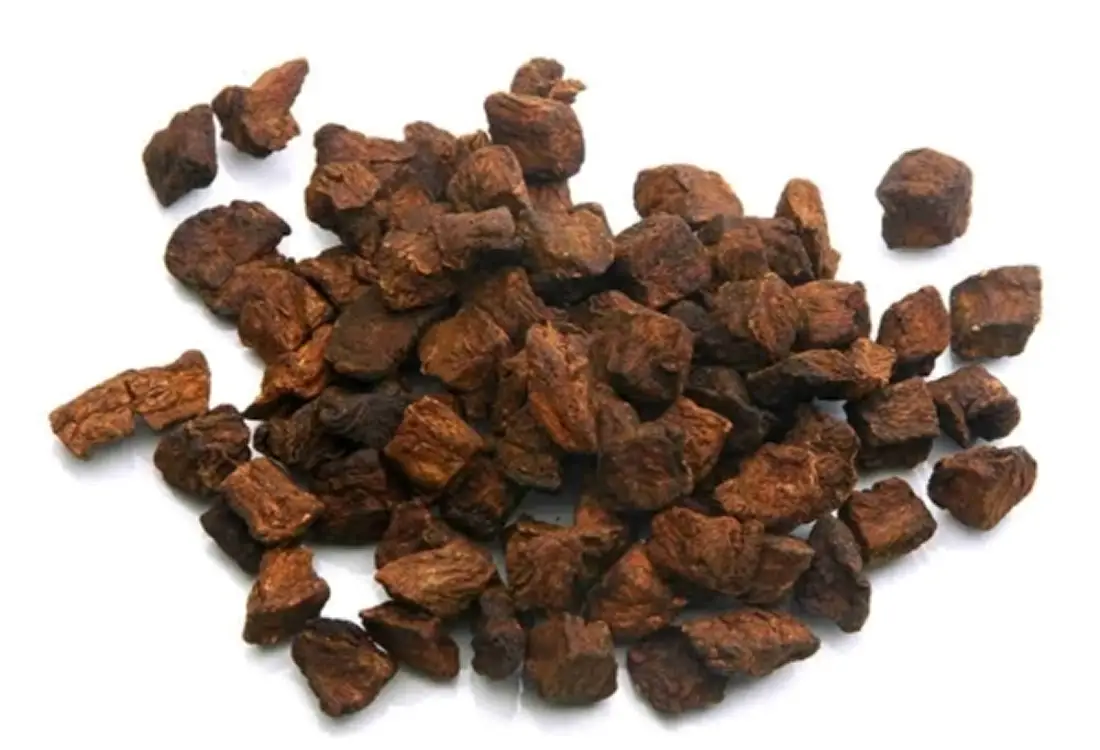 chicory cube manufacturer