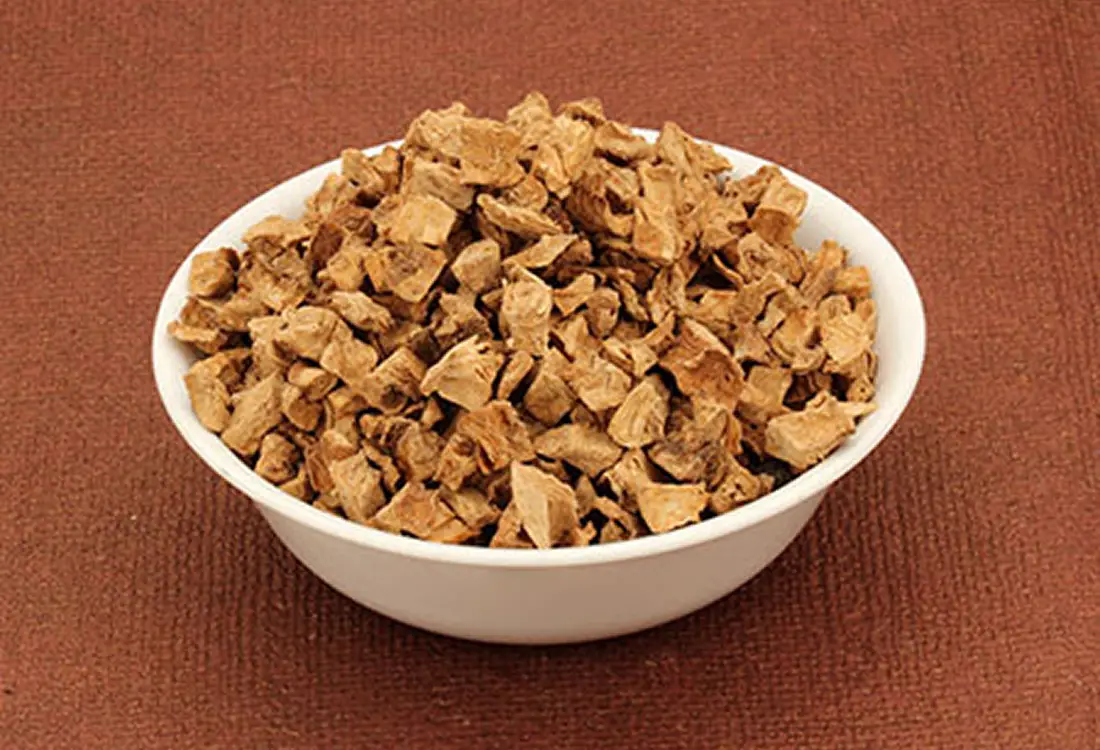 chicory cube supplier