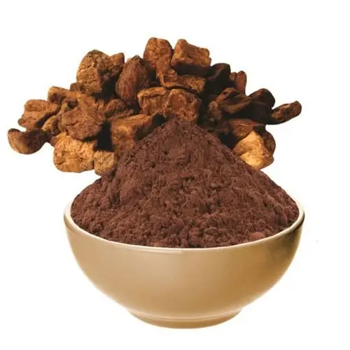 chicory powder manufacturer