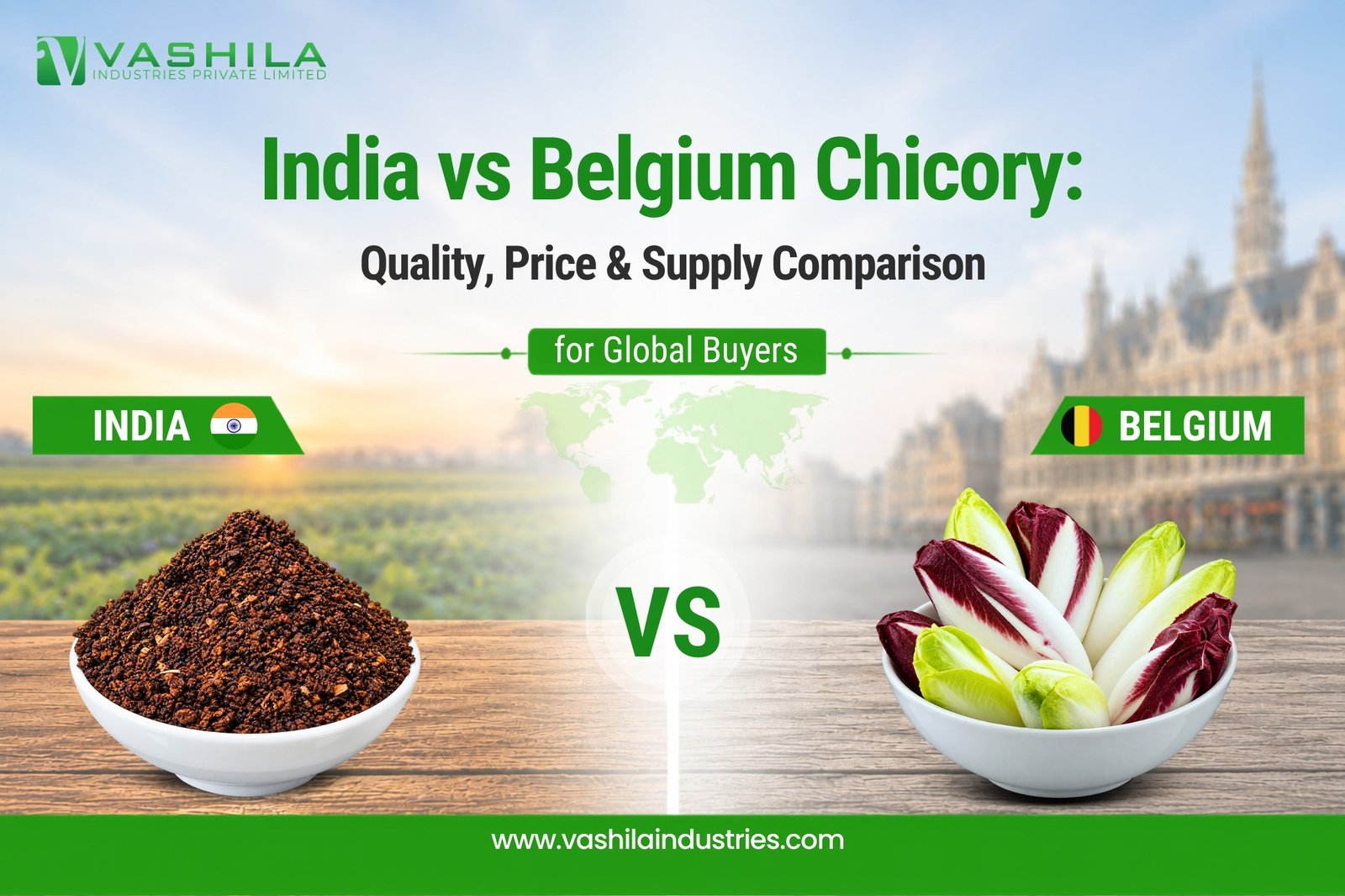 India-vs-Belgum-Chicory