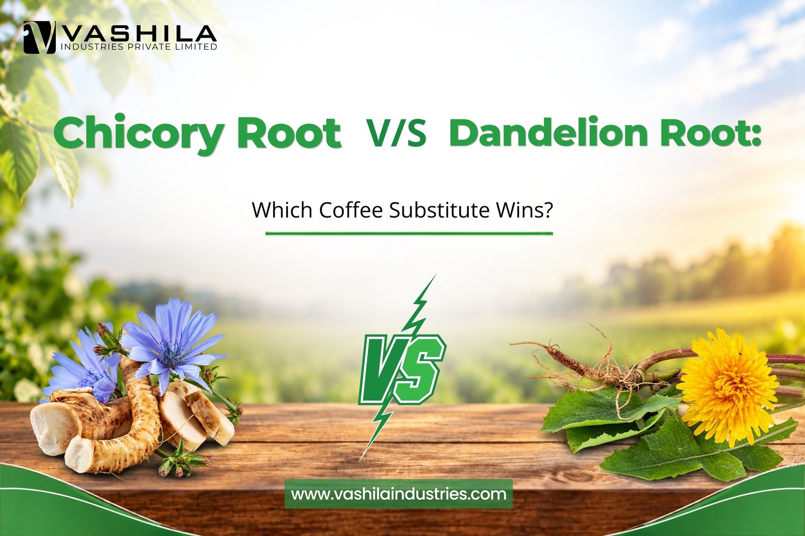 Chicory-Root-vs-Dandelion-Root