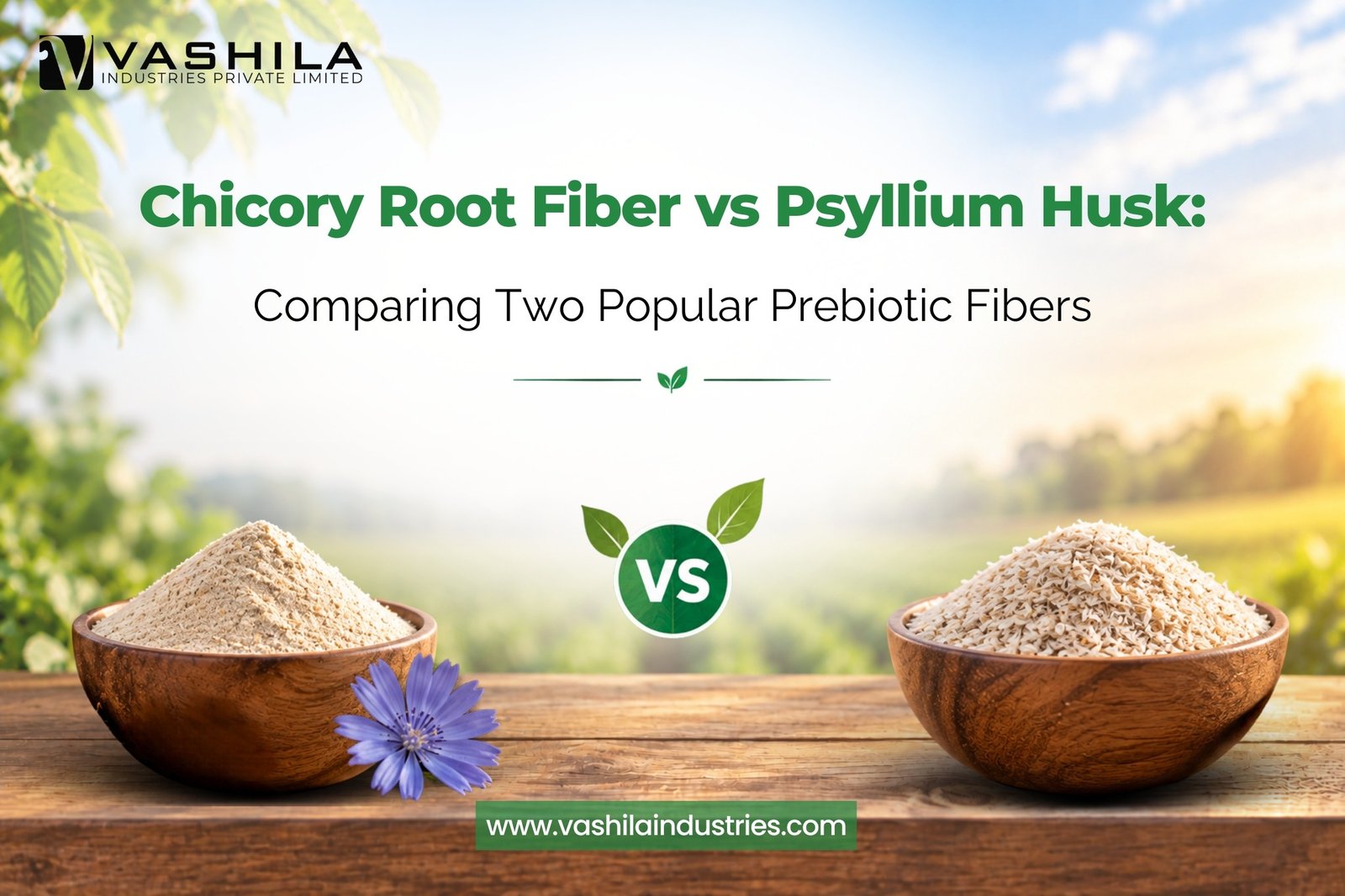 Chicory Root Fiber vs Psyllium Husk
