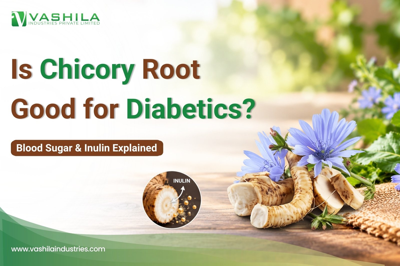 Is-Chicory-Root-Good-for-Diabetics-Blood-Sugar-Inulin-Explained