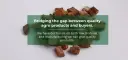 vashilaindustries.com-agri-product-manufacturer