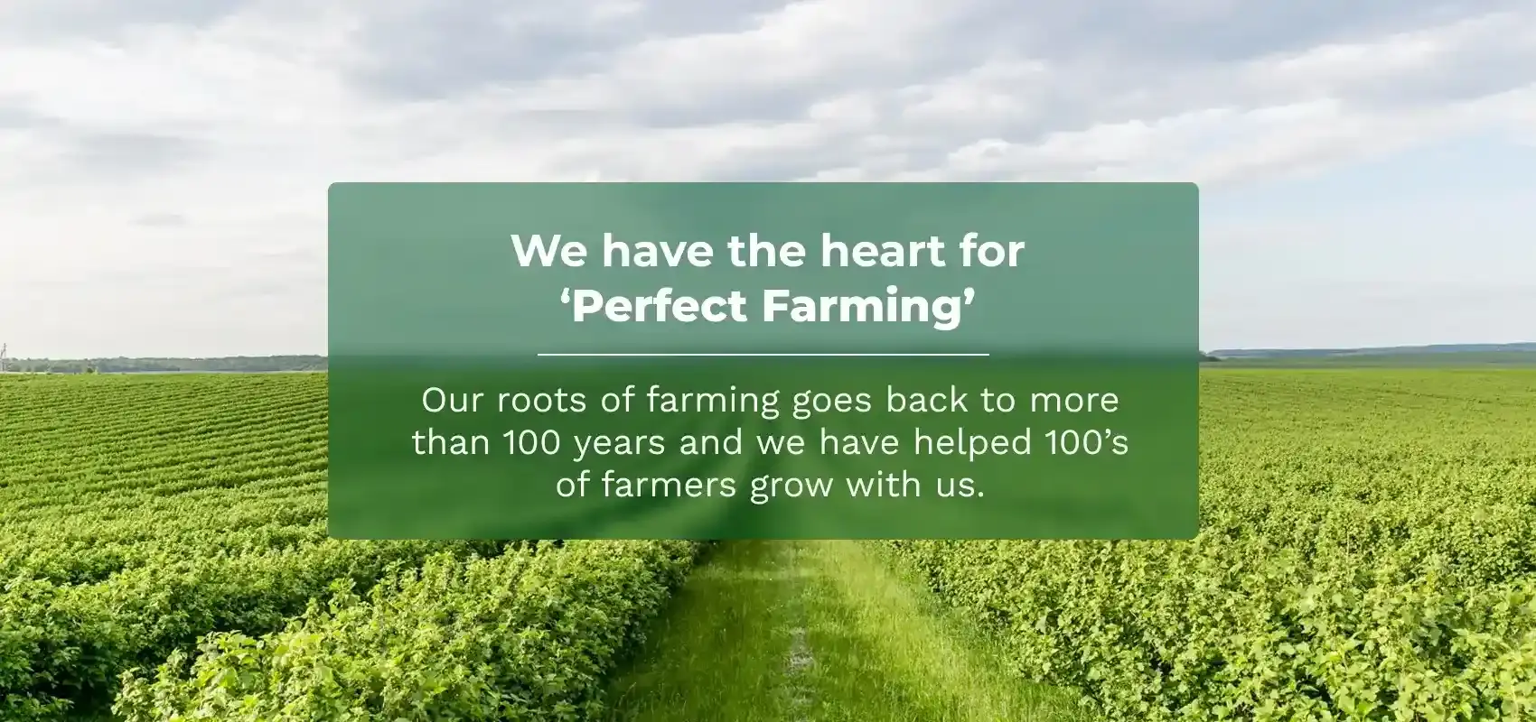 agri product supplier
